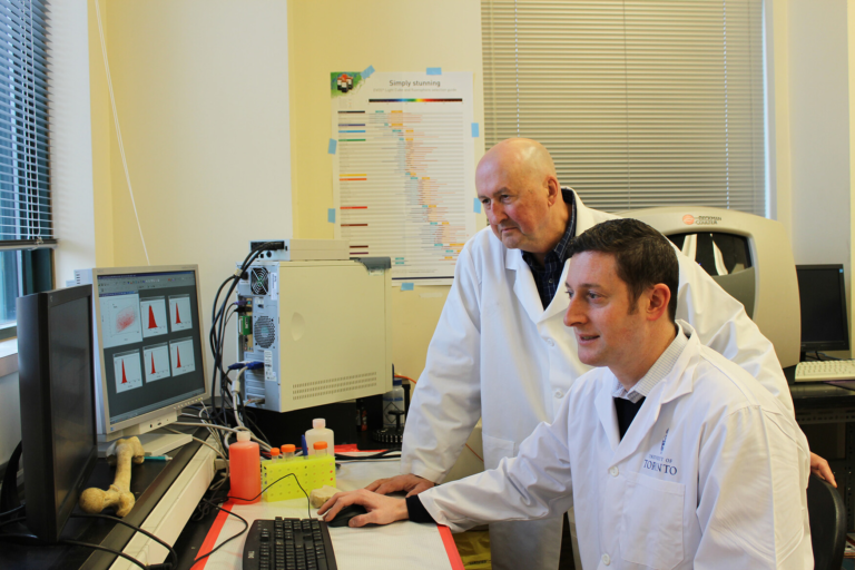 Stem Cell Therapy To Reverse Osteoporosis in Mice