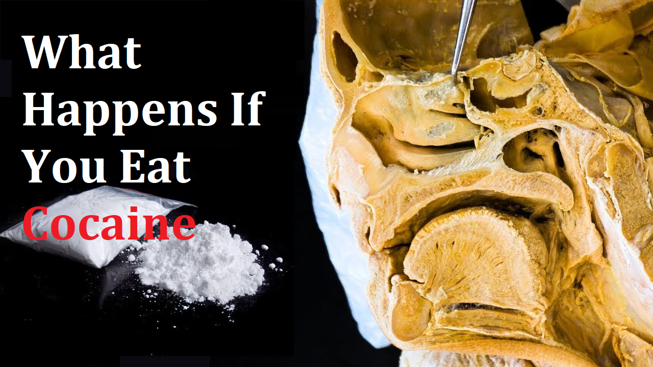 What Happens If You Eat Cocaine