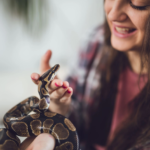 how to handle his snake yumi sin and fit kitty