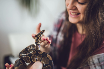 how to handle his snake yumi sin and fit kitty